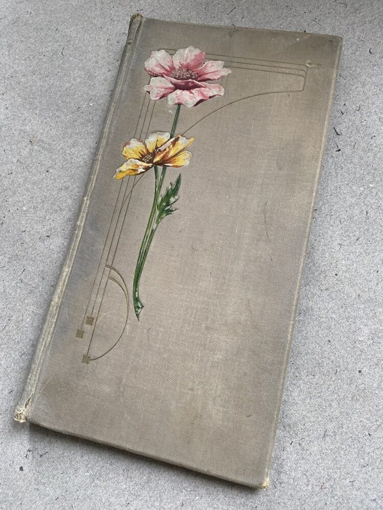 Album na pohledy, fotografie, 52 stran, 1.pol.20.stol.