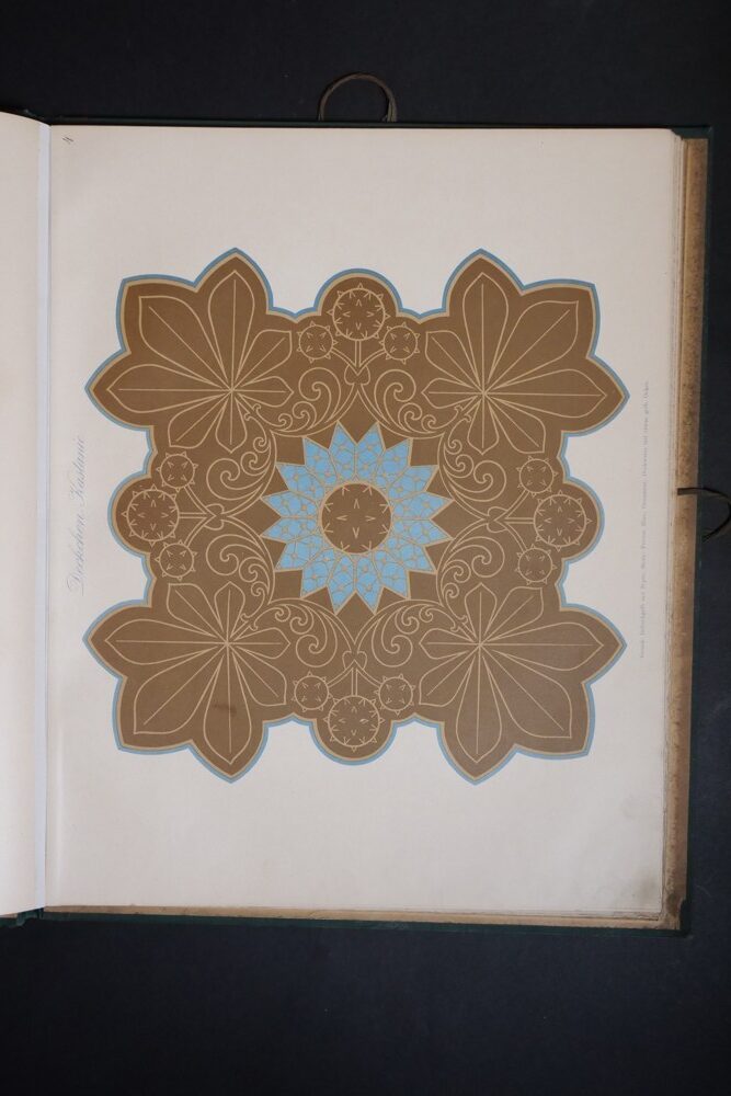 Heimatliche pflanzen-tabule graficky vyobrazených rostlin sec.stylu 1900 - Obrázek 5