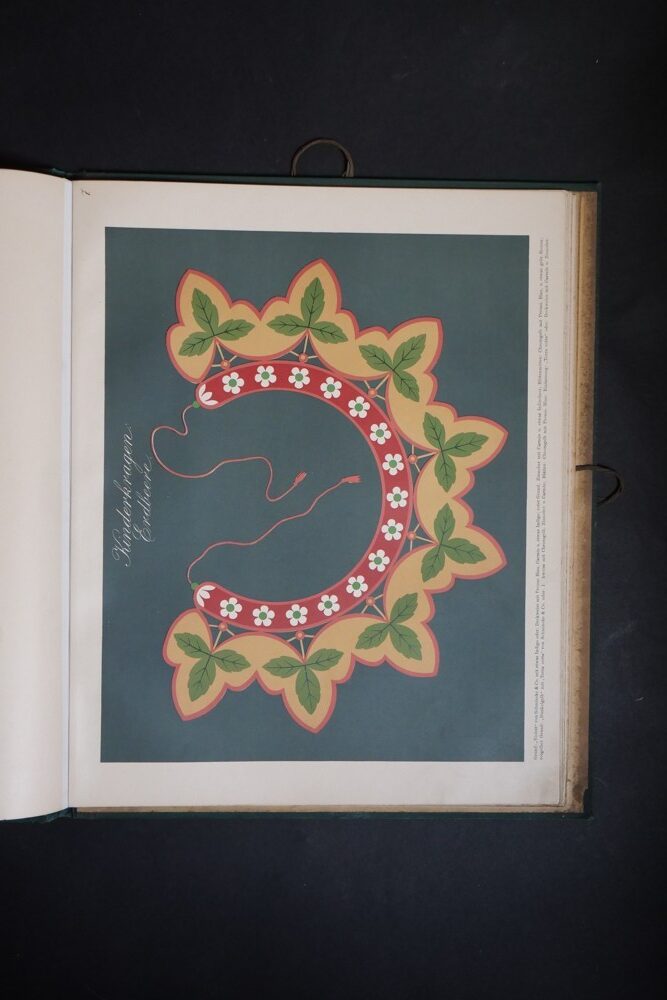 Heimatliche pflanzen-tabule graficky vyobrazených rostlin sec.stylu 1900 - Obrázek 6