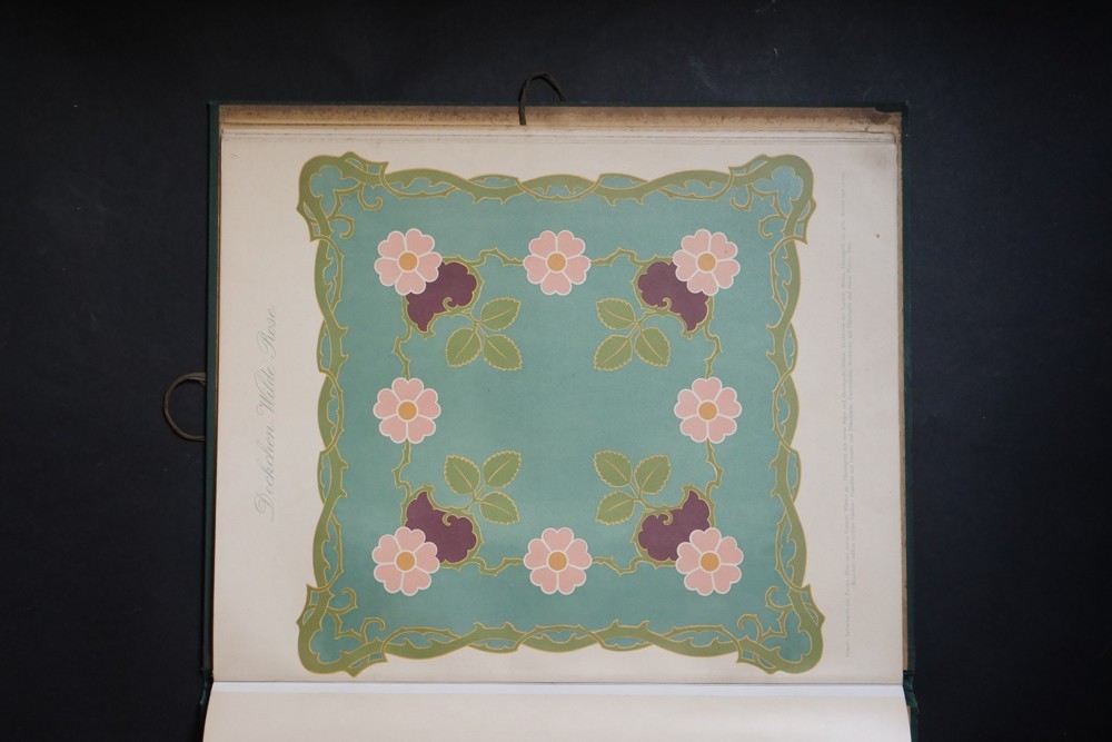 Heimatliche pflanzen-tabule graficky vyobrazených rostlin sec.stylu 1900 - Obrázek 7