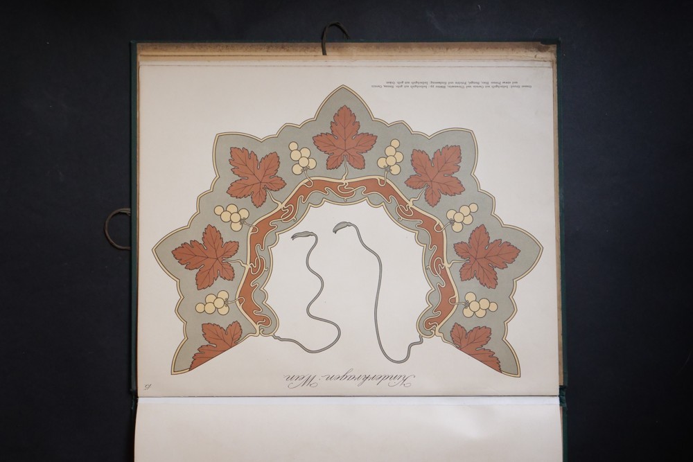 Heimatliche pflanzen-tabule graficky vyobrazených rostlin sec.stylu 1900 - Obrázek 8