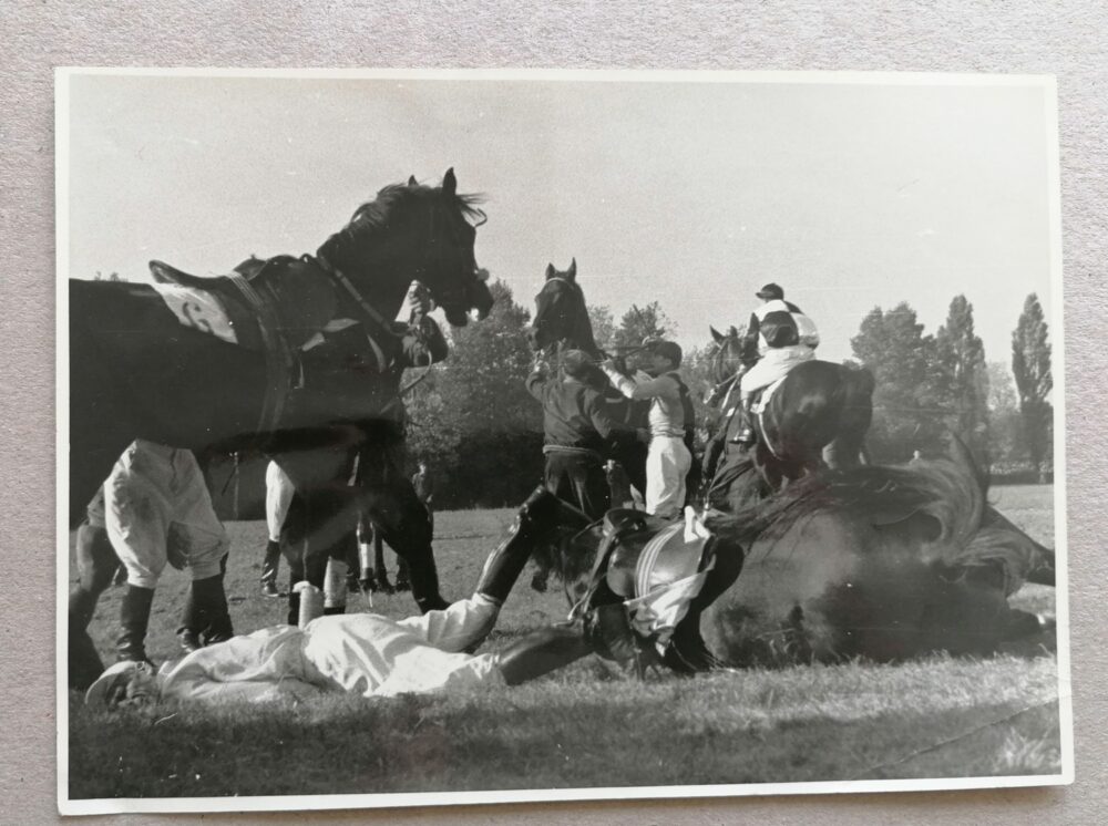 Fotografie Sport Jezdectví, koně Eva Palyzová 1. a 2.pol.20.stol. 7 ks - Image 2