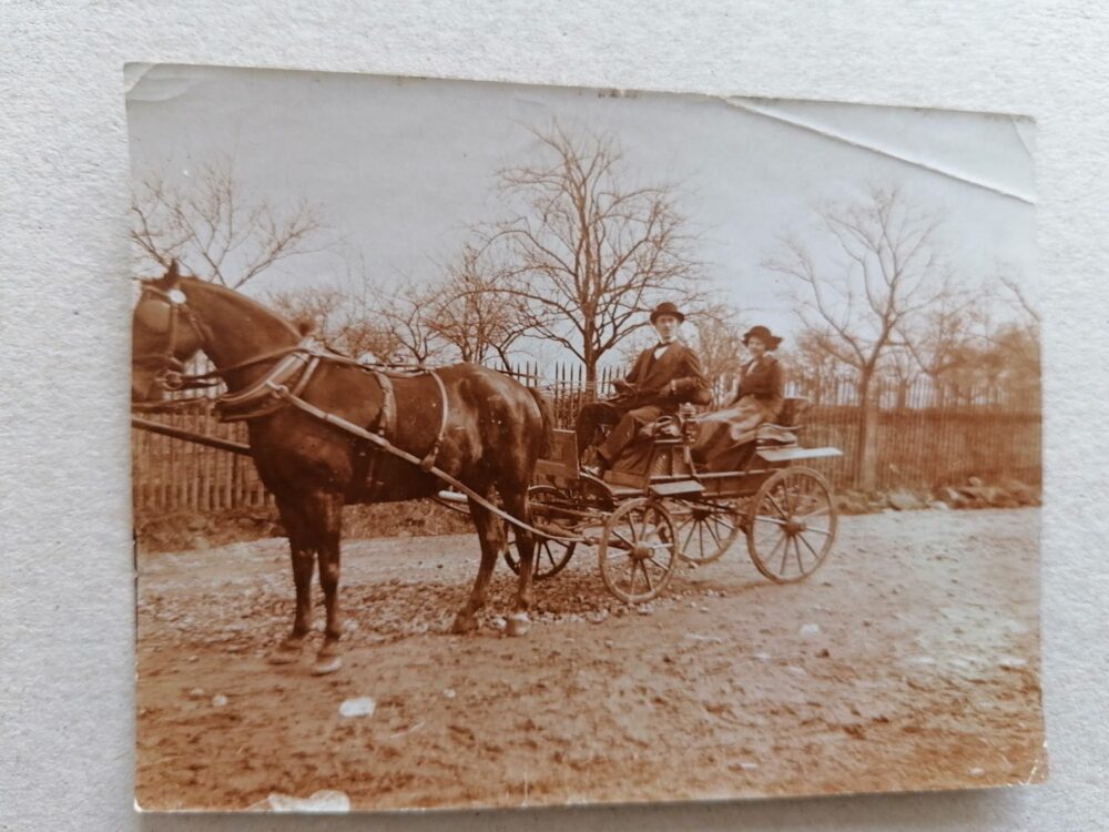 Fotografie Koně s bryčkou,kočárem 1.pol.20.st.Lázně Poděbrady 5ks - Image 5