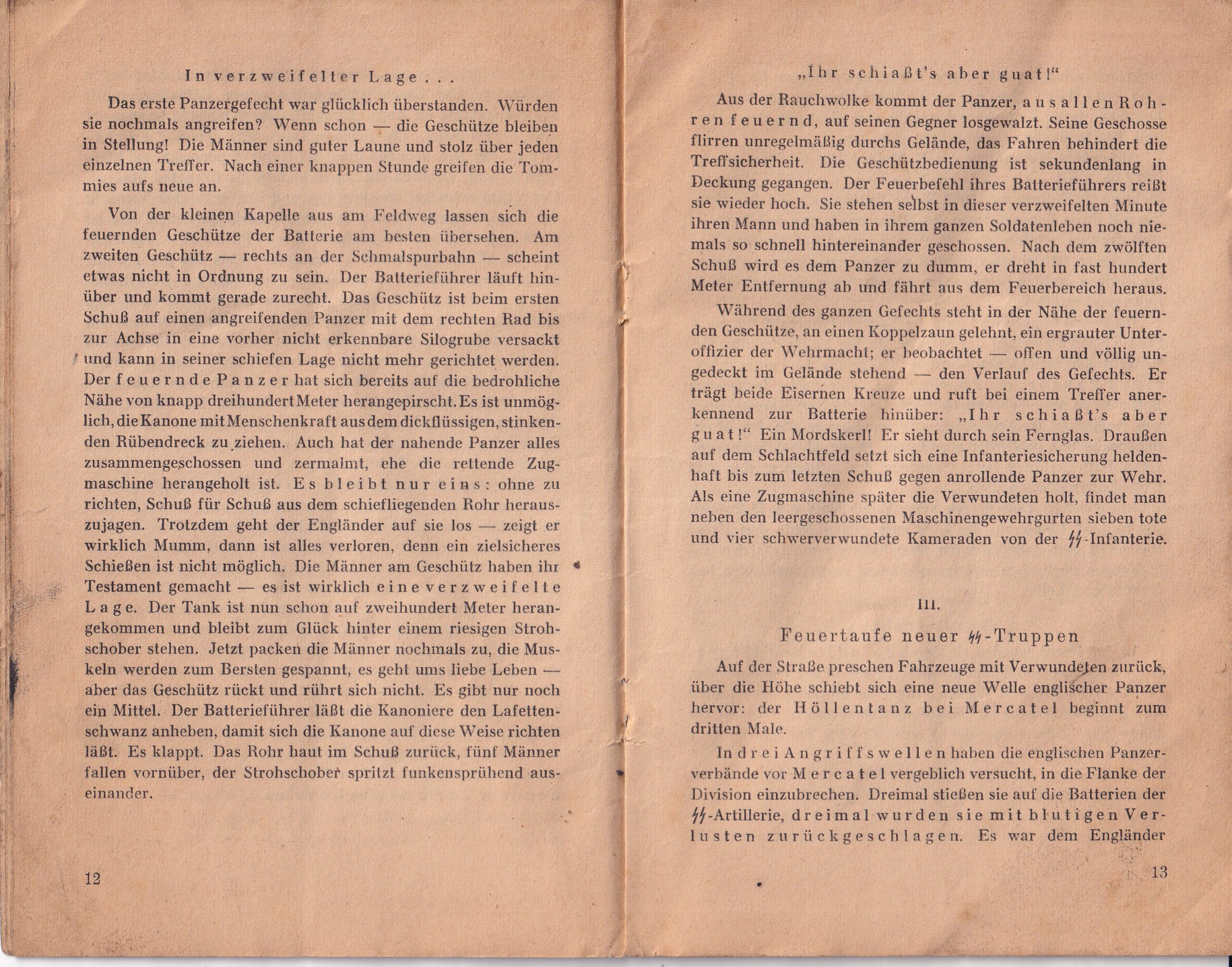 Kniha Protitanková bitva SS u Arrasu v r. 1940, Hein Schlecht - Obrázek 5