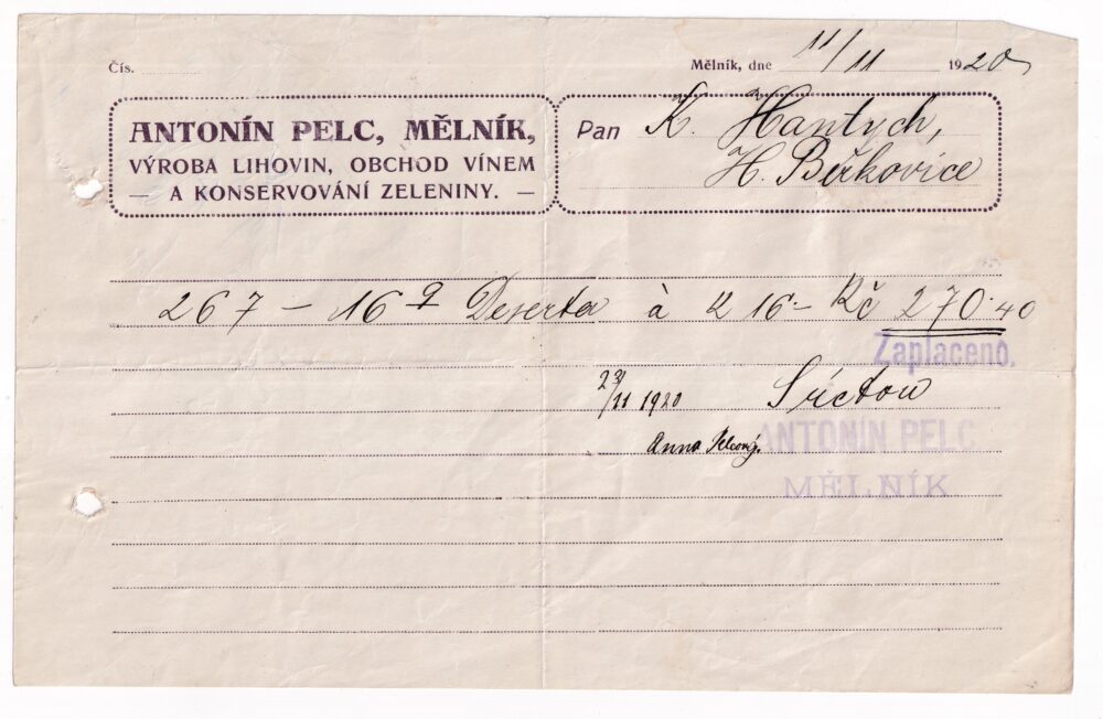 Účet, velkoobchod vínem, zelí, aj., Mělník, 1920