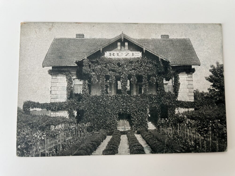 Pohlednice Velkozávod zahradnický - RŮŽE, Volák Praha Vršovice