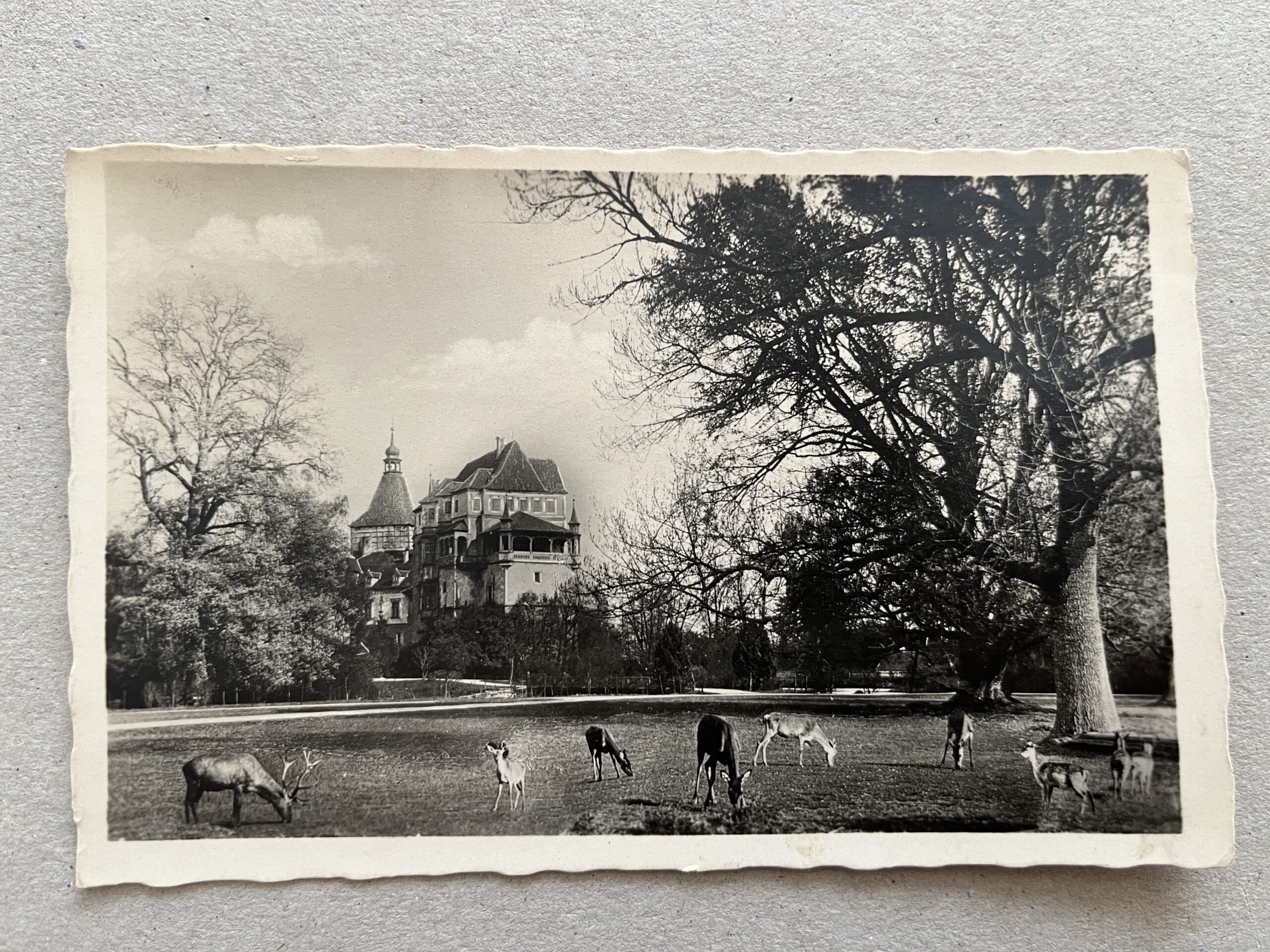 Pohlednice Nepomuk a okolí, Blatná zámek, Lázně Luhačovice 10 ks - Obrázek 3