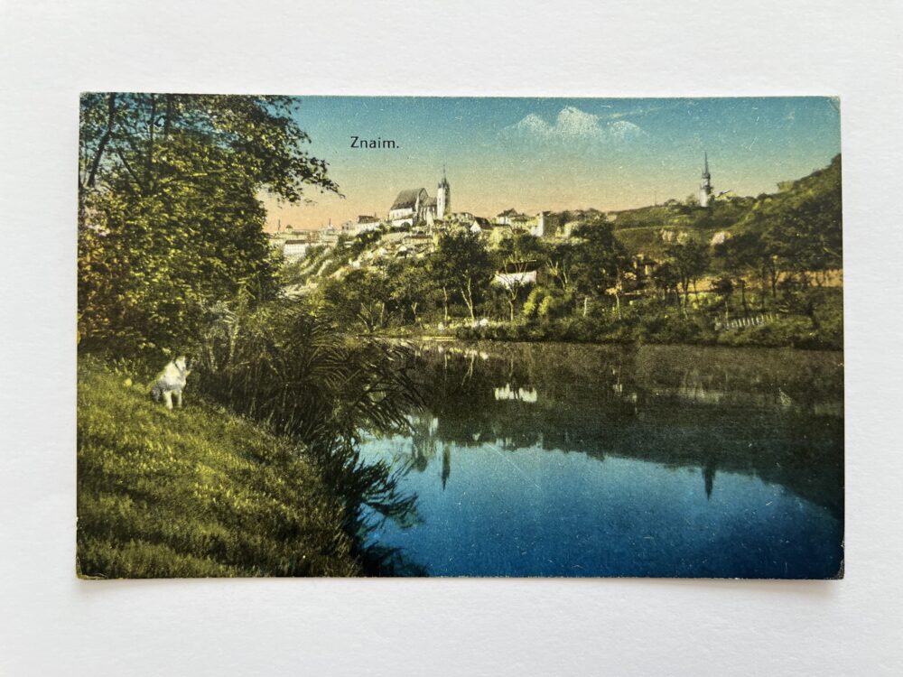 Pohlednice místopis Znojmo - partie u Dyje, rok 1920