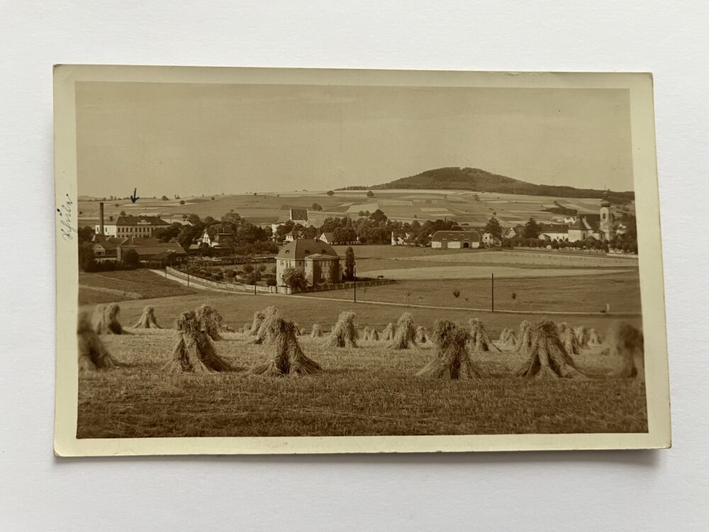 Pohlednice Raspenava snopy obilí, celkový pohled, škola okres Liberec