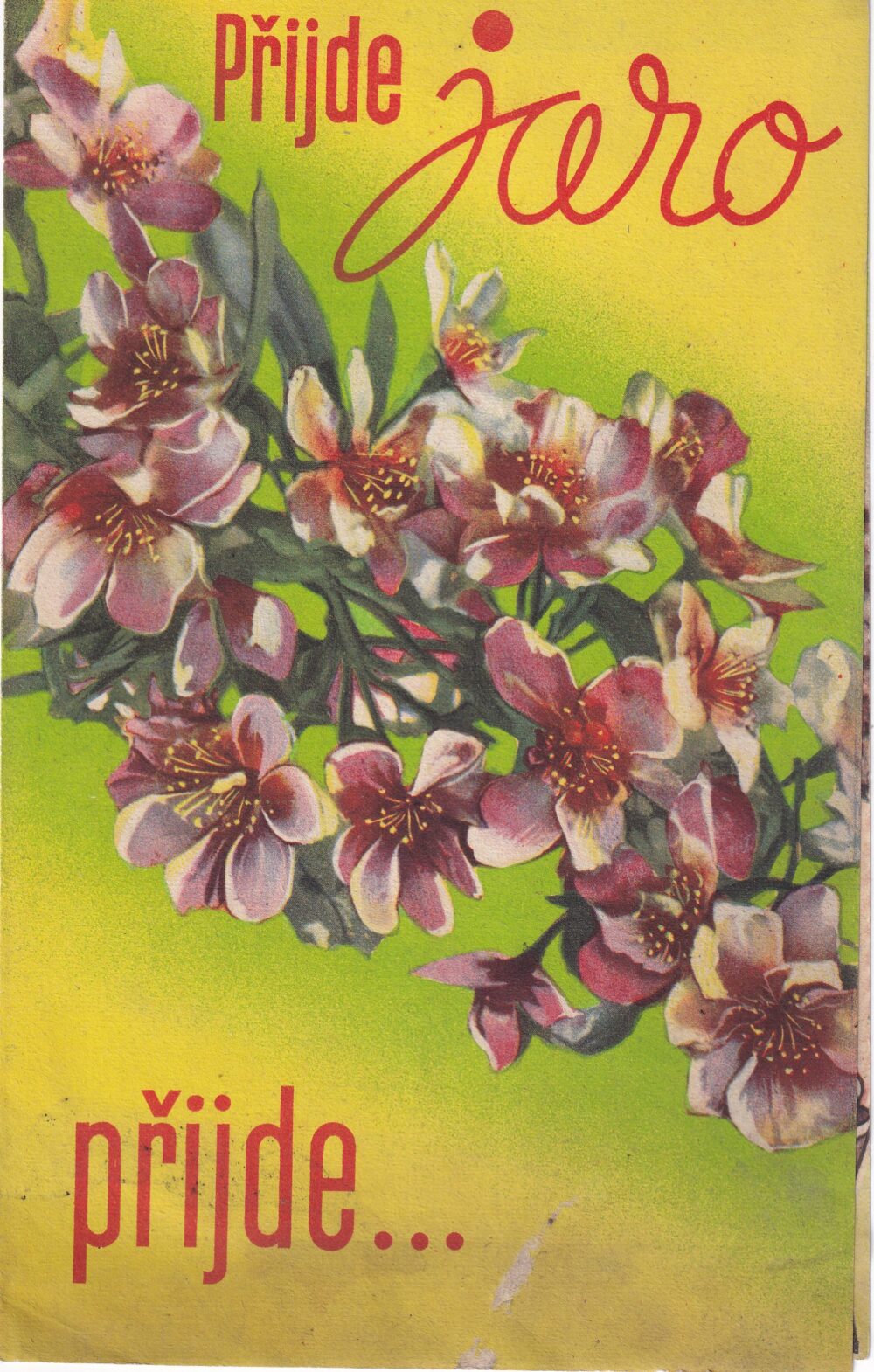 Leták Přijde jaro – jarní móda pro děti, ženy, muže