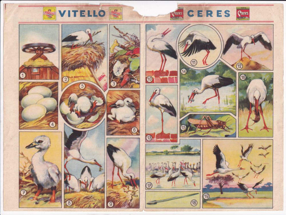 Reklamní okénko ČÁP, Vitello, Ceres  1.pol.20.stol.