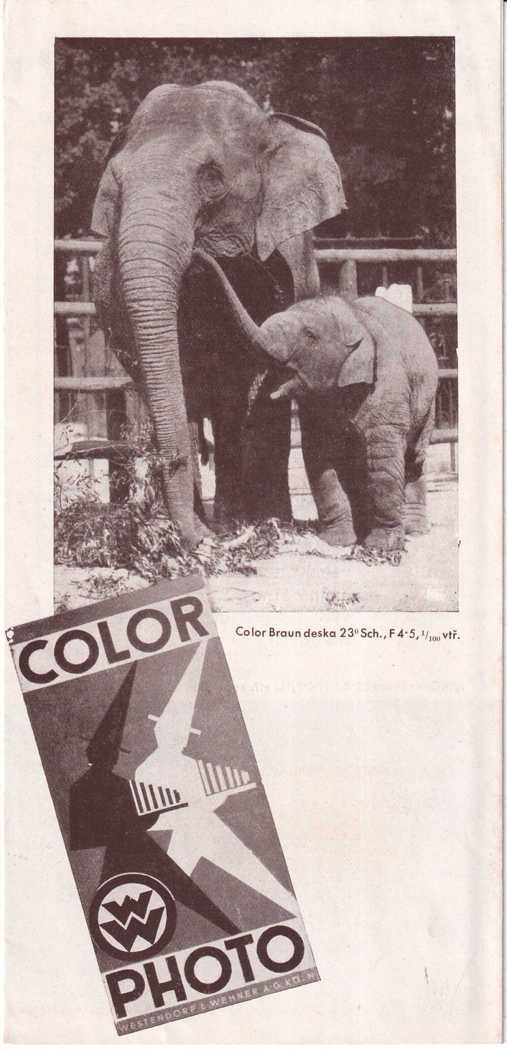 Leták Fotografické potřeby, Color-Photo filmy, Wachtl 1.pol.20.st.