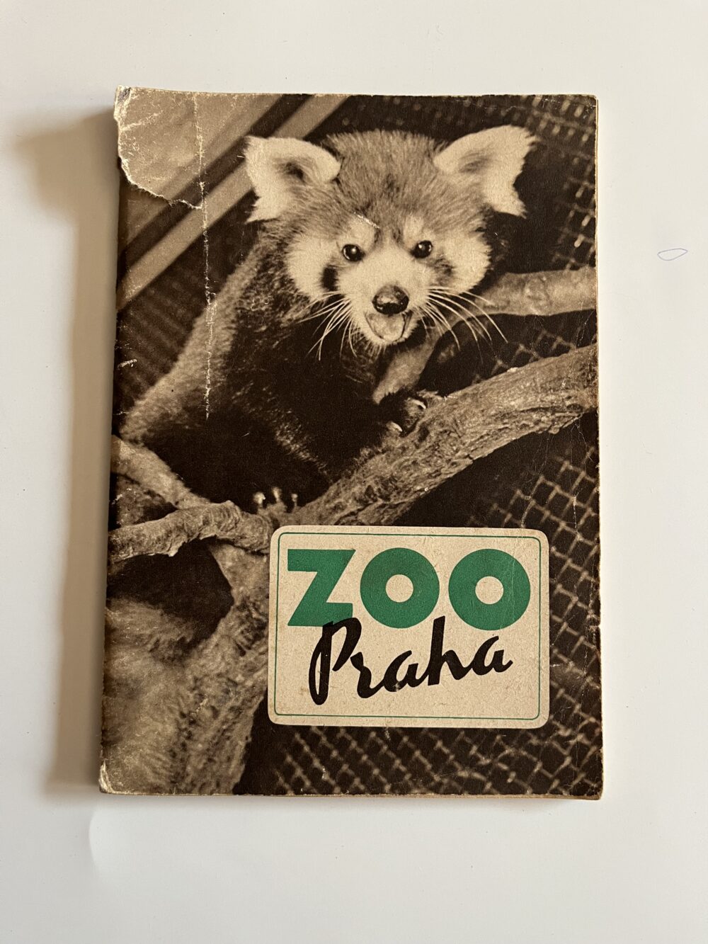 Dr Cyril Purkyně - ZOO Praha, r.1957