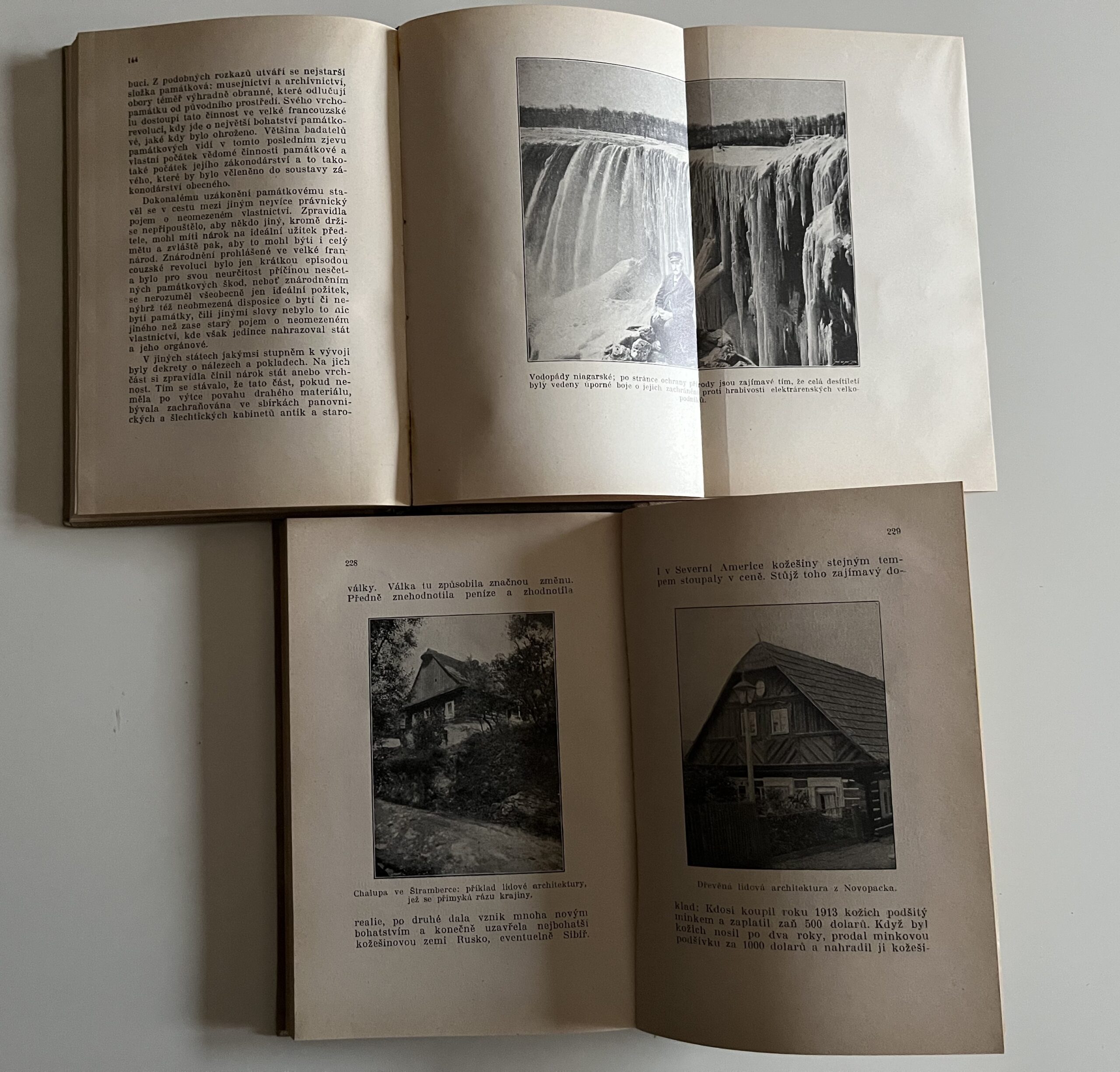 Dr. Procházka - Ochrana přírody, I. / II. díl r.1926 / 1927 - Obrázek 4