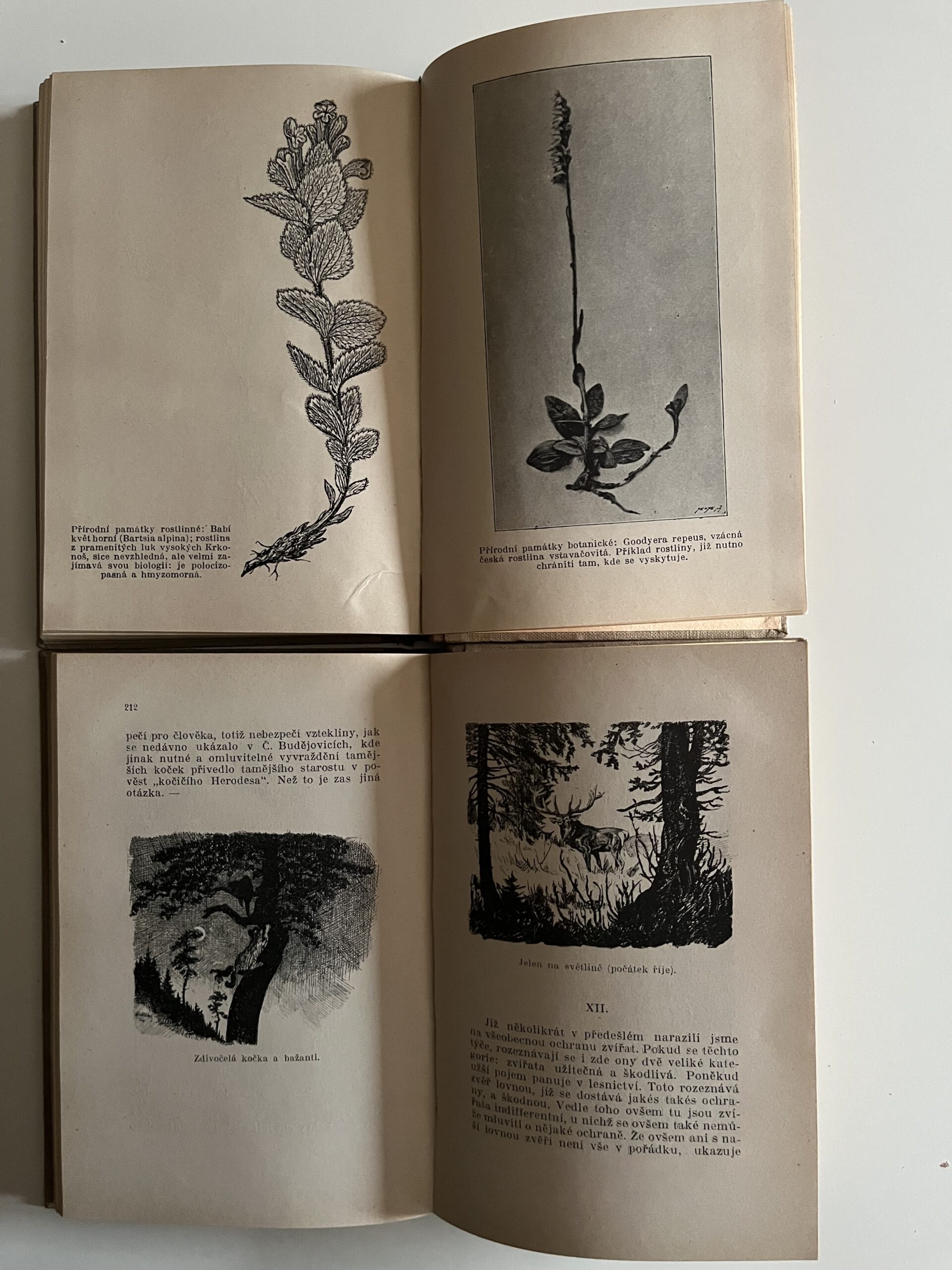 Dr. Procházka - Ochrana přírody, I. / II. díl r.1926 / 1927 - Obrázek 5