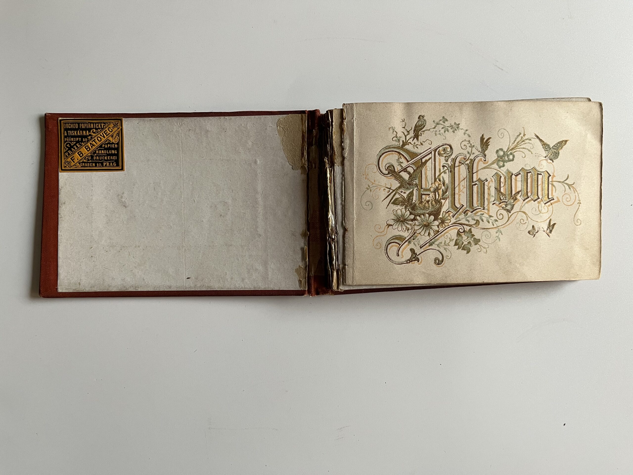 Starožitný album se zdobenou reliéfní vazbou, texty r.1882 - 1889 - Obrázek 2