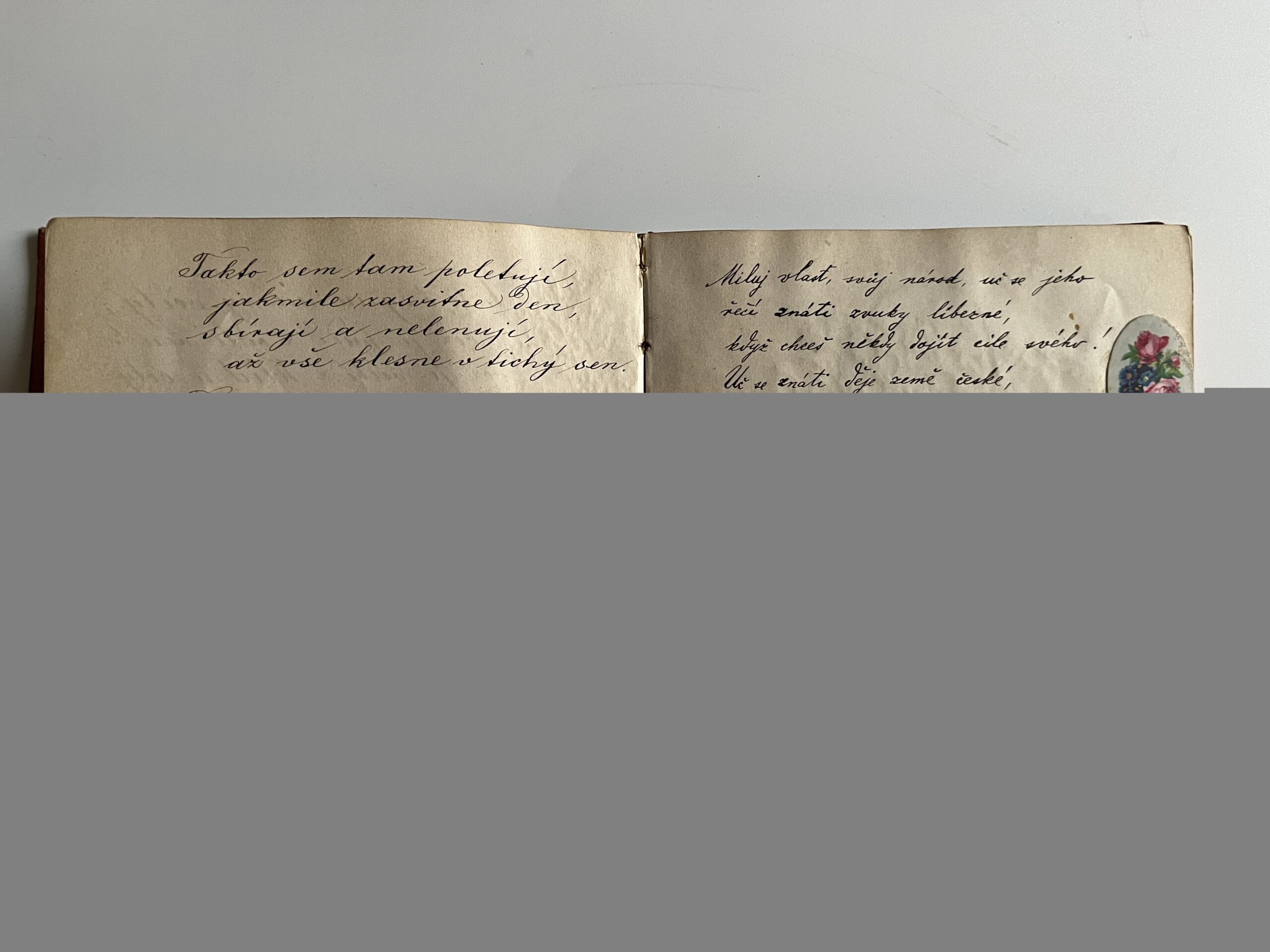 Starožitný album se zdobenou reliéfní vazbou, texty r.1882 - 1889 - Obrázek 3