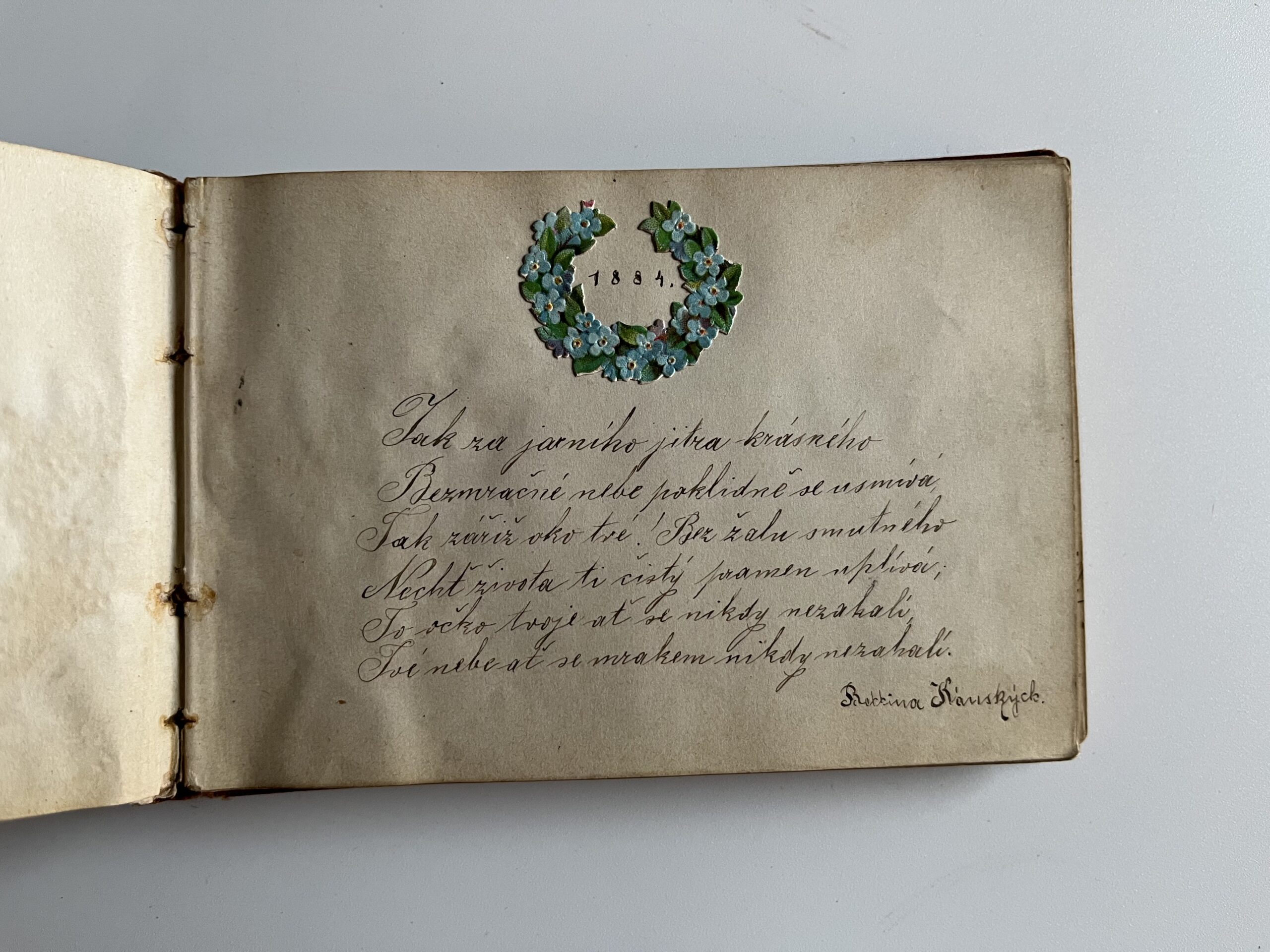 Starožitný album se zdobenou reliéfní vazbou, texty r.1882 - 1889 - Obrázek 4