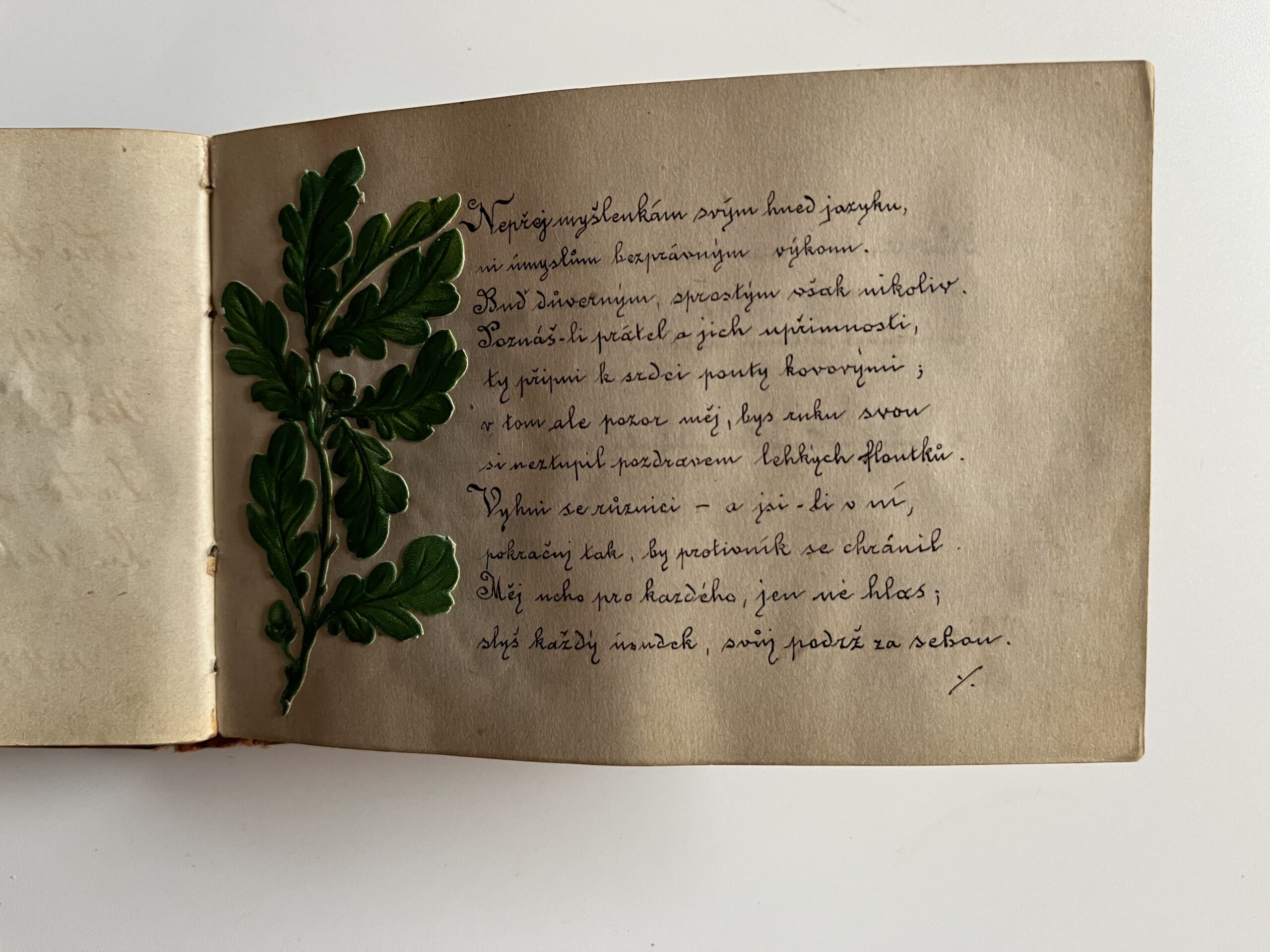 Starožitný album se zdobenou reliéfní vazbou, texty r.1882 - 1889 - Obrázek 5