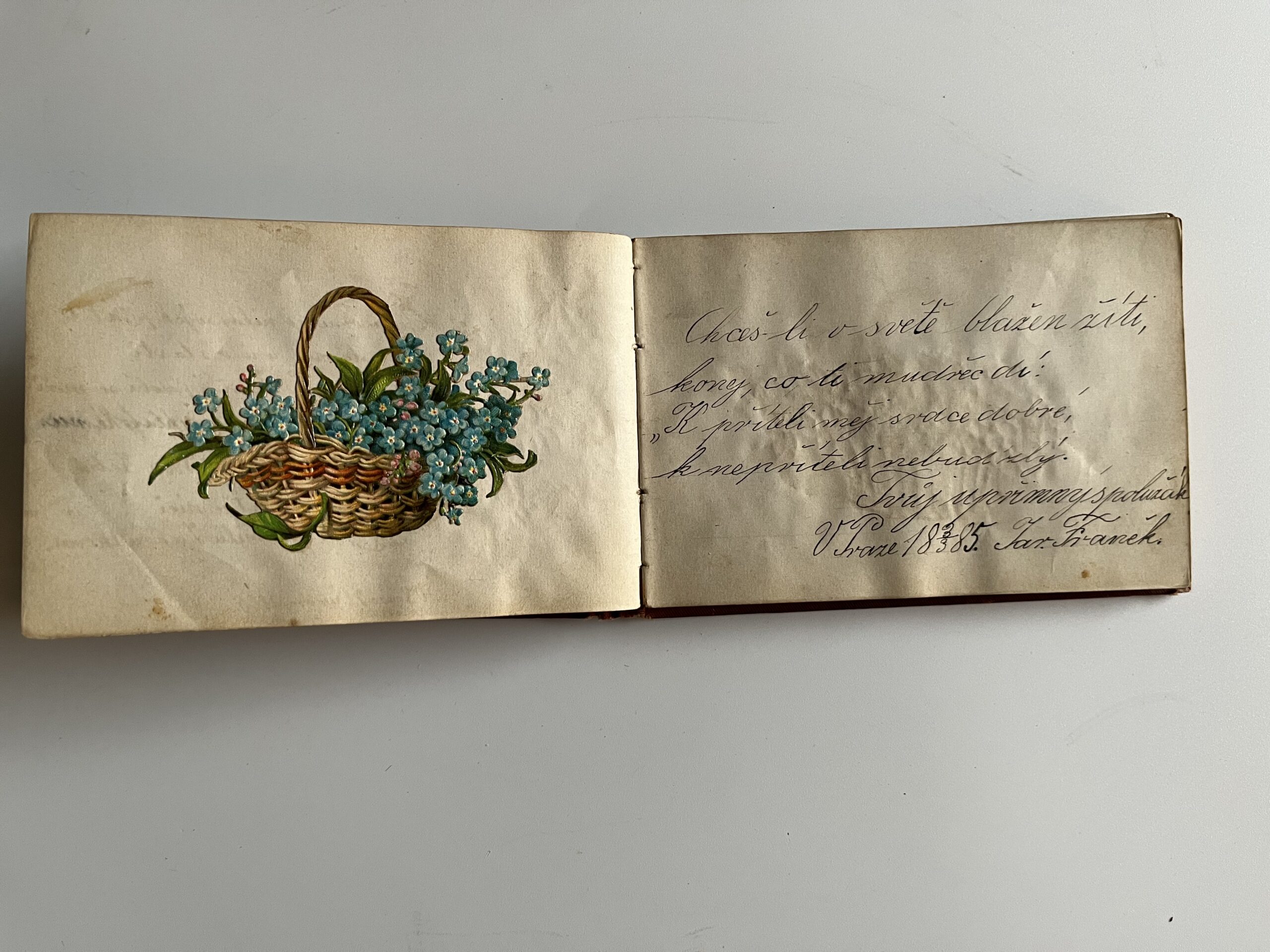 Starožitný album se zdobenou reliéfní vazbou, texty r.1882 - 1889 - Obrázek 6