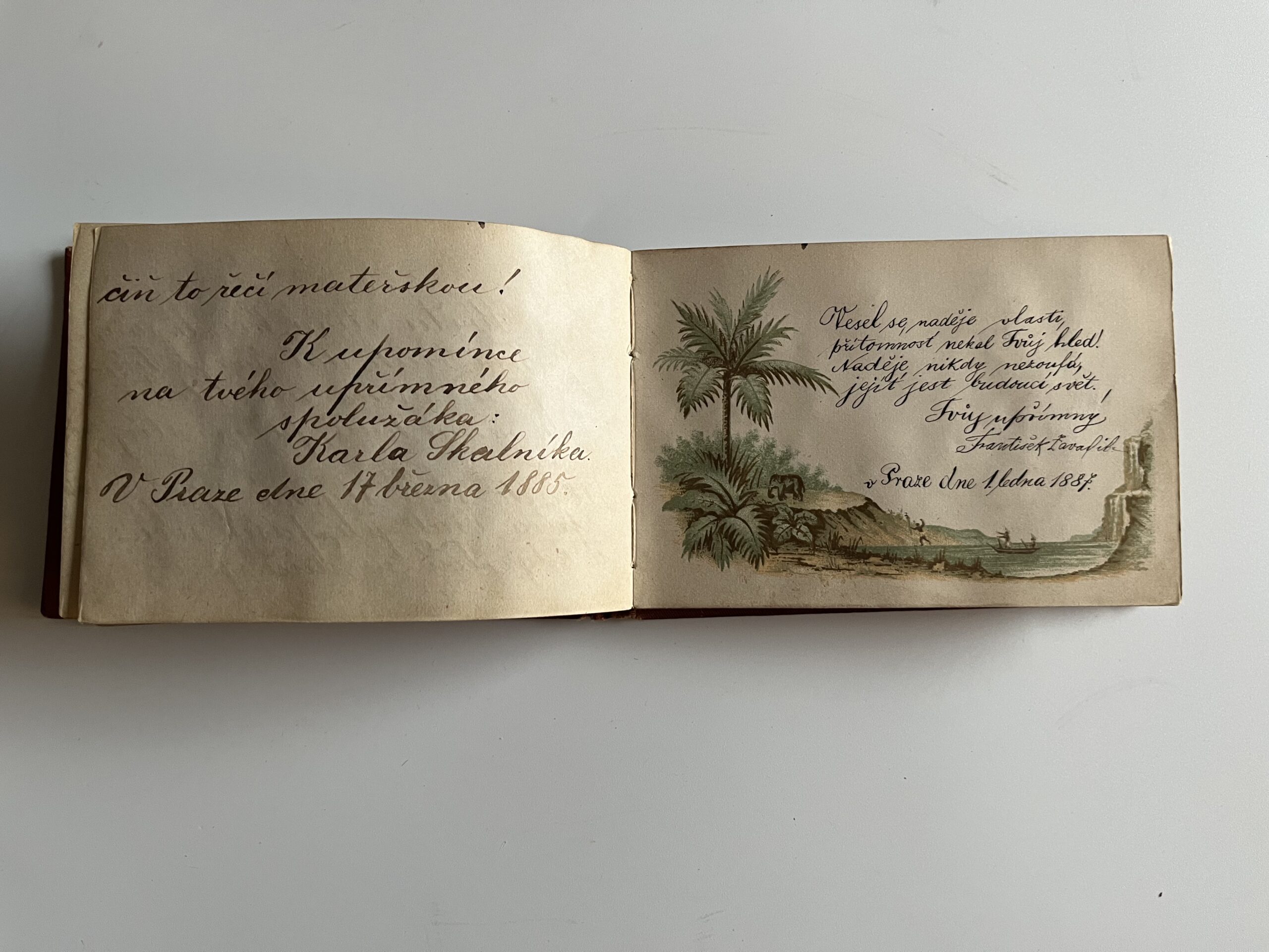 Starožitný album se zdobenou reliéfní vazbou, texty r.1882 - 1889 - Obrázek 7