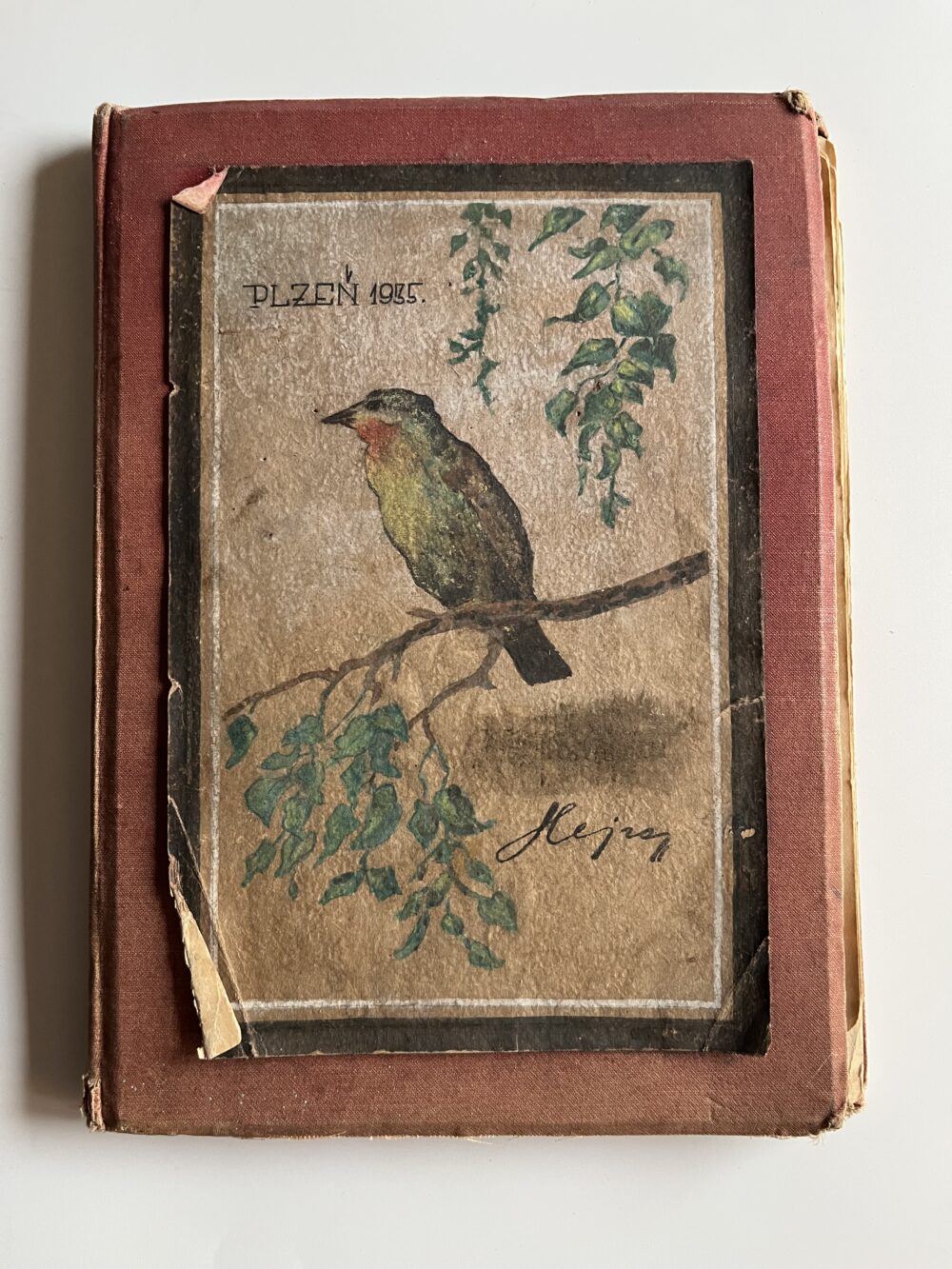 Deník - básně, verše, ilustrace Plzeň 1.pol.20.století