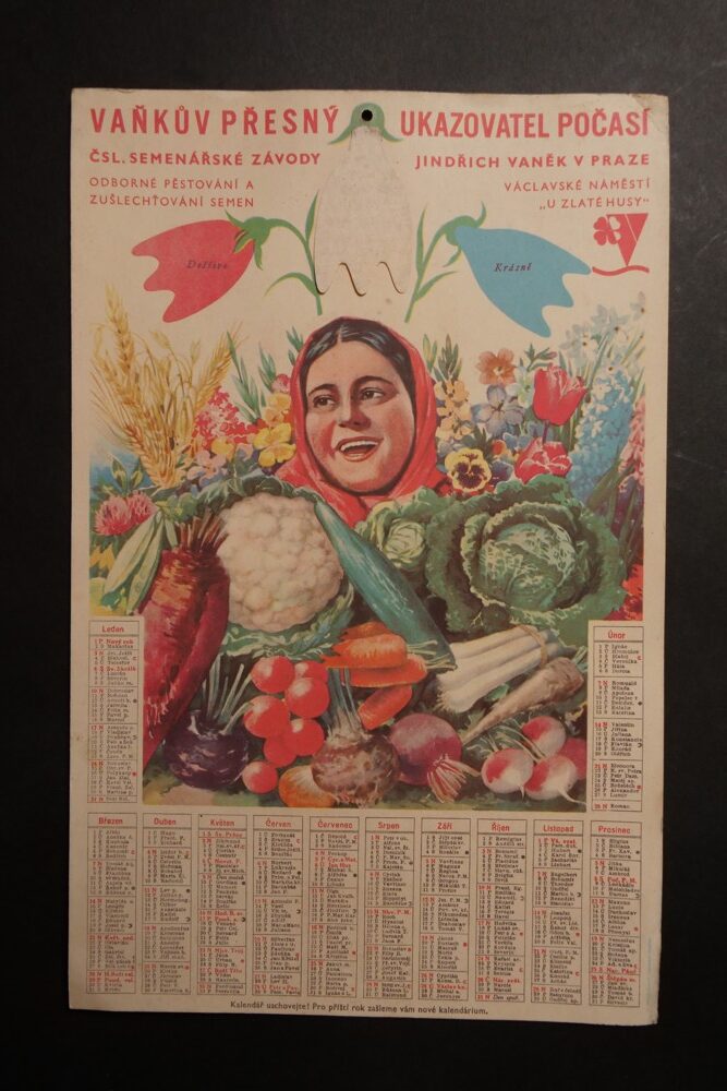 Papír.kalendář na zeď, ČSL.semenářské závody, Vaněk 1.pol.20.stol.