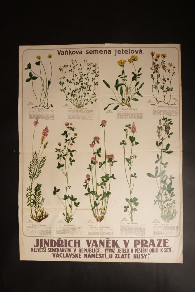 Plakát - Vaňkova semena jetelová, J. Vaněk 1.pol.20.stol.