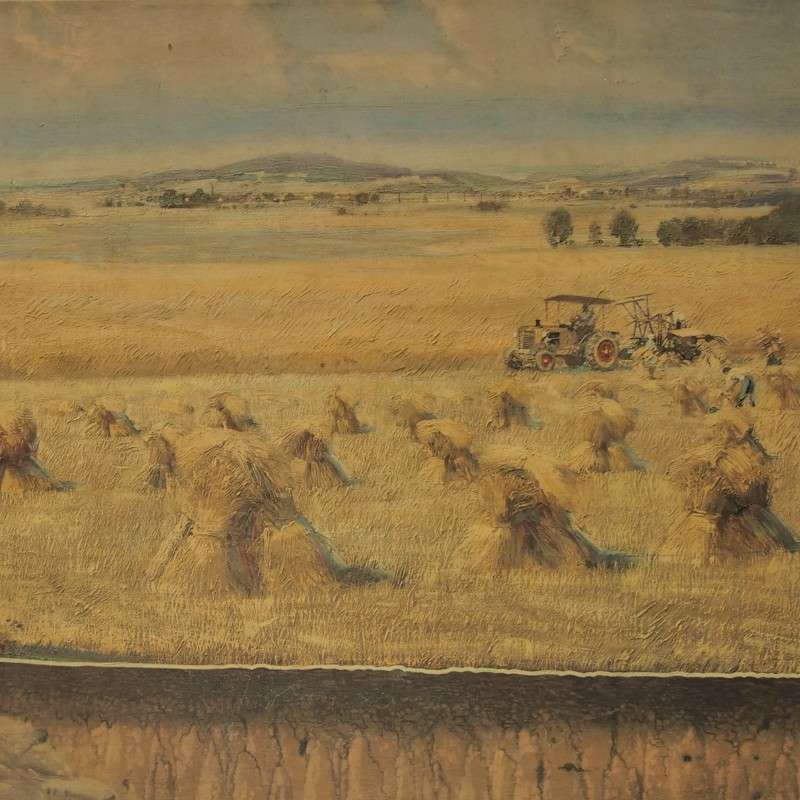 Naučná nástěnná cedule - malba Zdeněk Burian - Obrázek 2